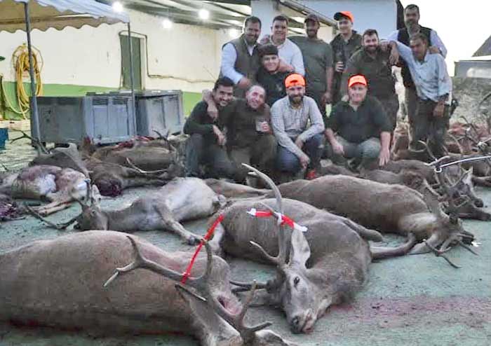 Resultado Montería Rincón de Abajo 2024 Monteros de Sopetrán